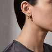 Gold Star Huggies Earrings