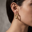 Gold Textured Knot Hoops