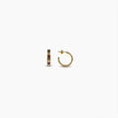Rainbow Hoop Earrings