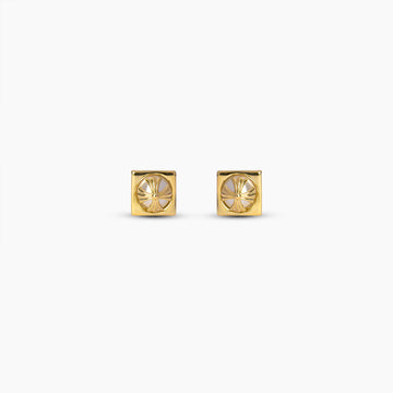 Nova Pearl Stud Earrings