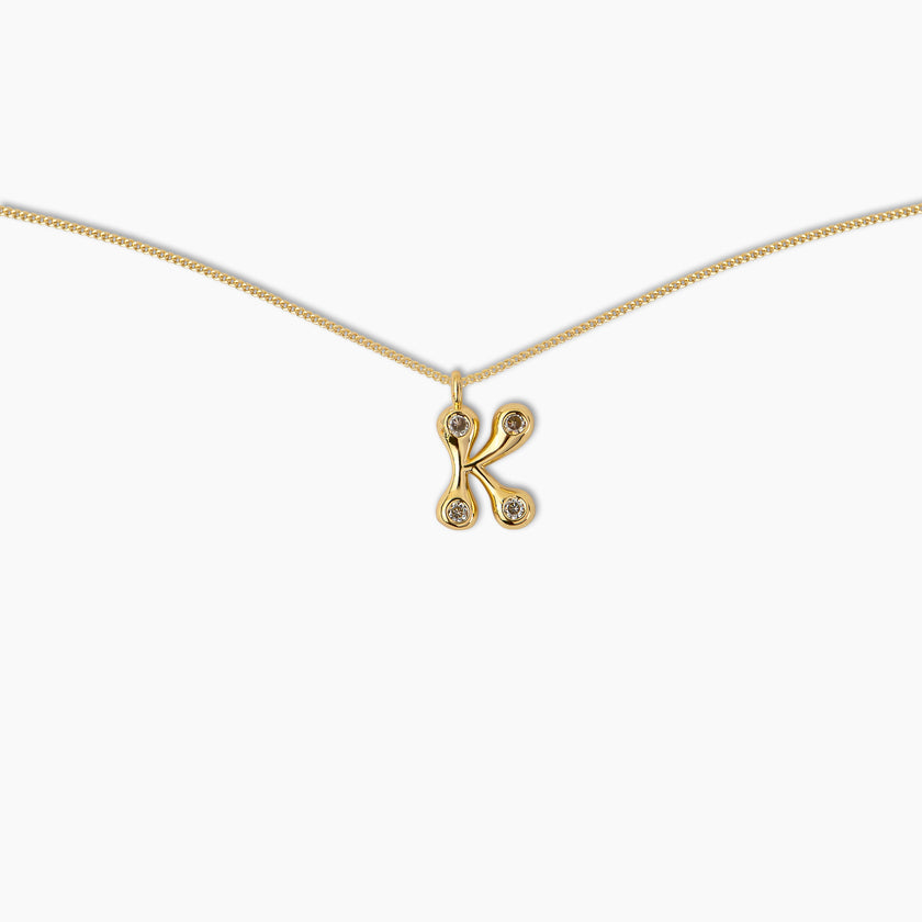 Duo Diamond Initial Necklace