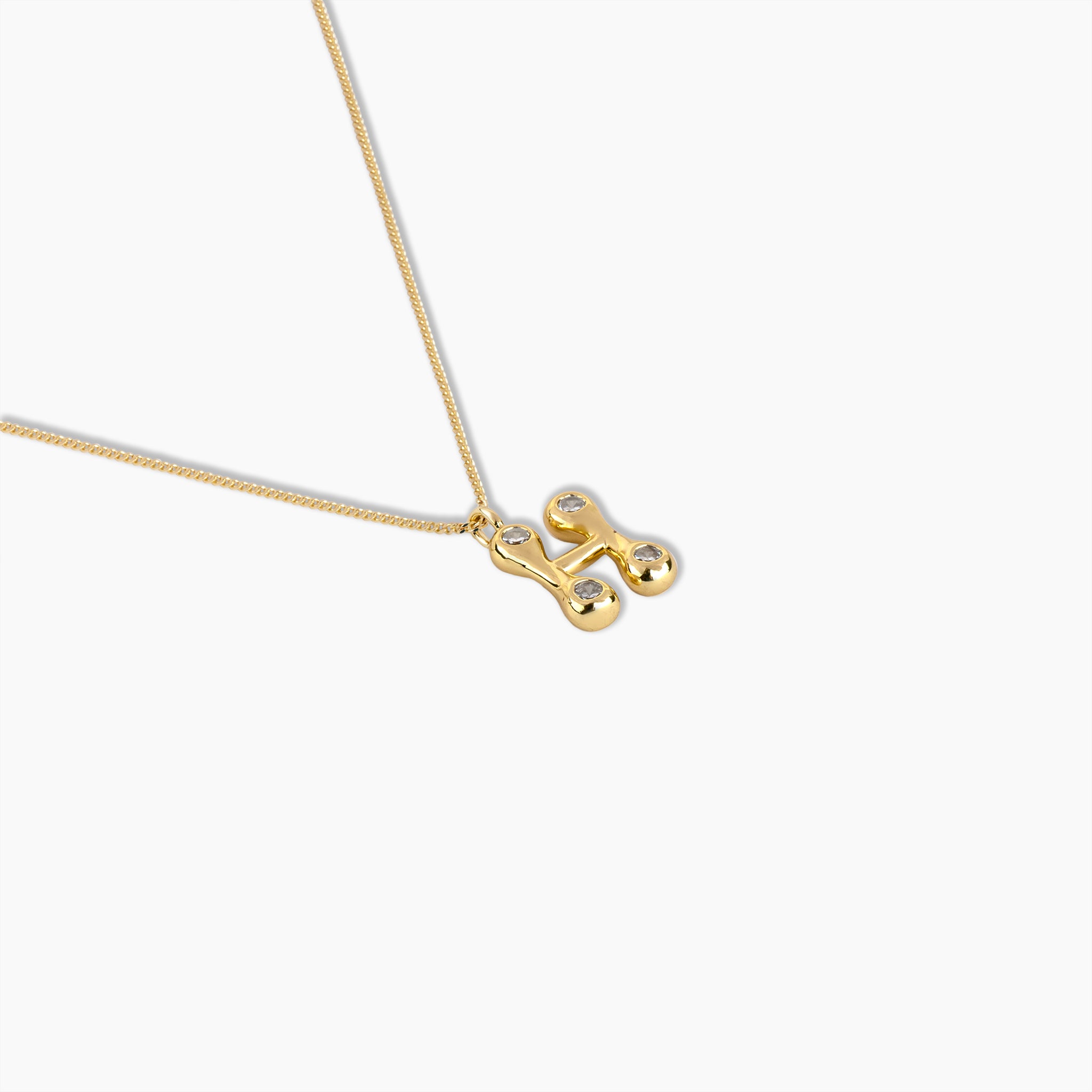 Duo Diamond Initial Necklace