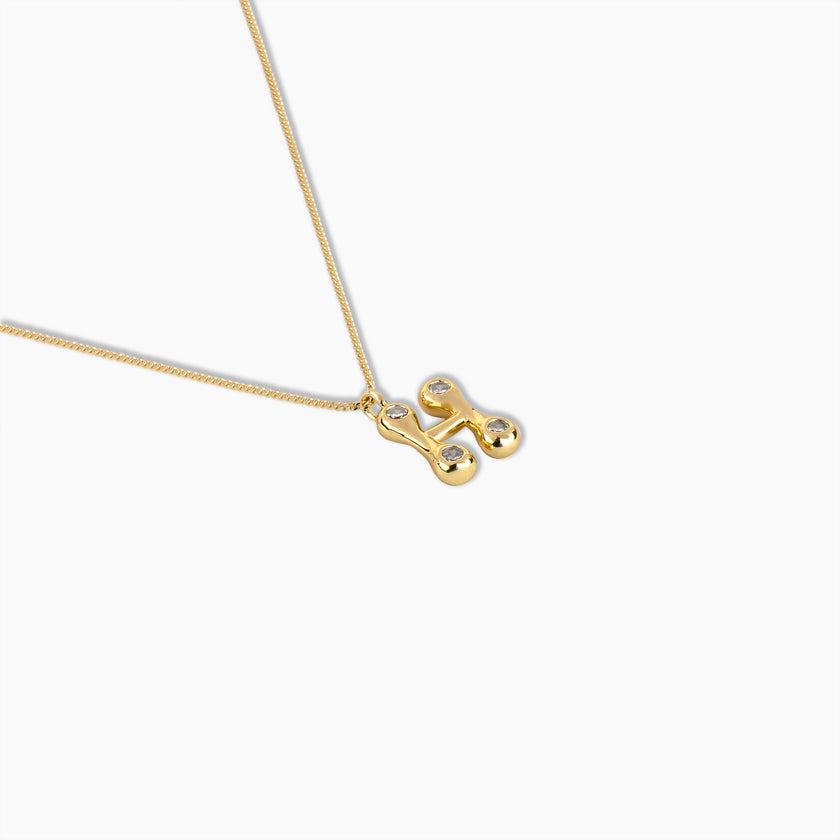 Duo Diamond Initial Necklace