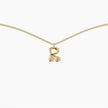 Duo Diamond Initial Necklace