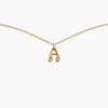 Duo Diamond Initial Necklace