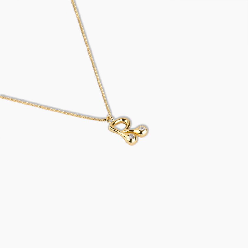 Duo Diamond Initial Necklace