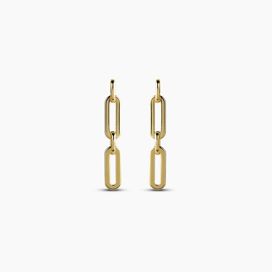 Linked luxe Earring