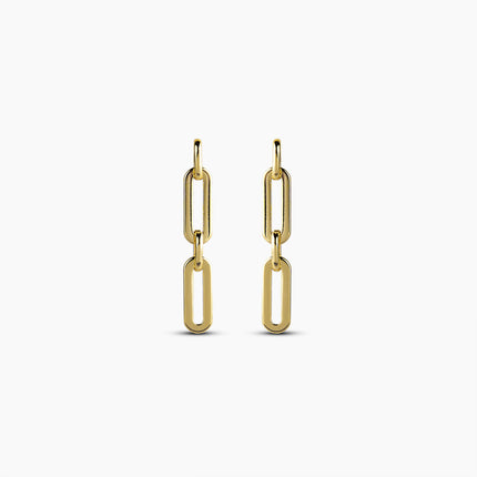 Linked luxe Earring