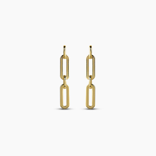 Linked luxe Earring