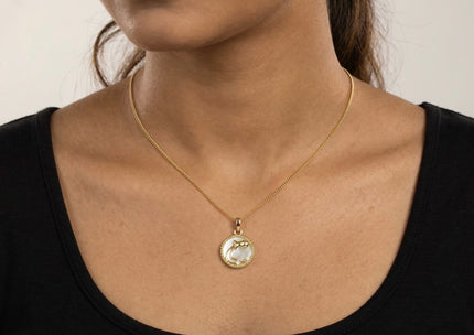 Aquarius Zodiac Pendant