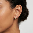 The Tropical Palm Tree Studs