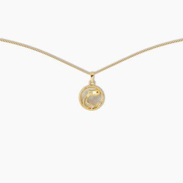 Aquarius Zodiac Pendant