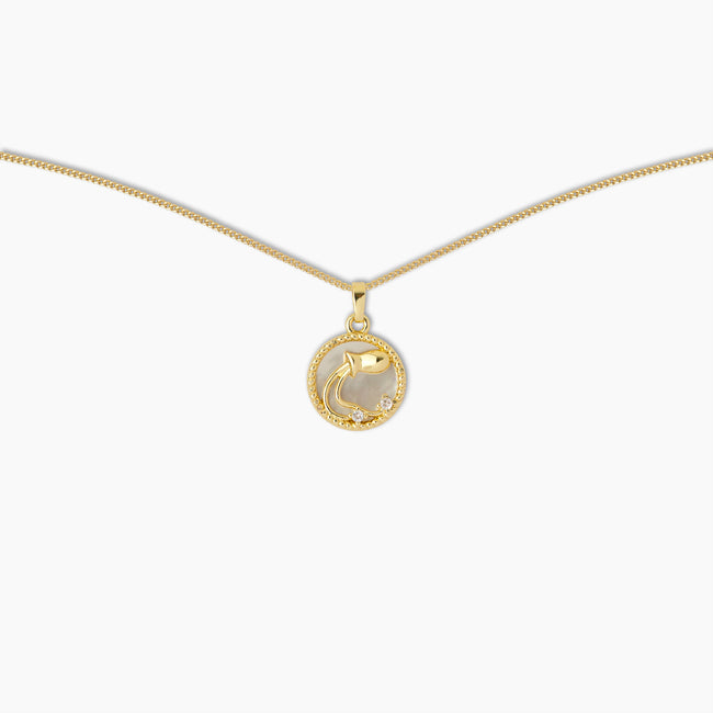 Aquarius Zodiac Pendant